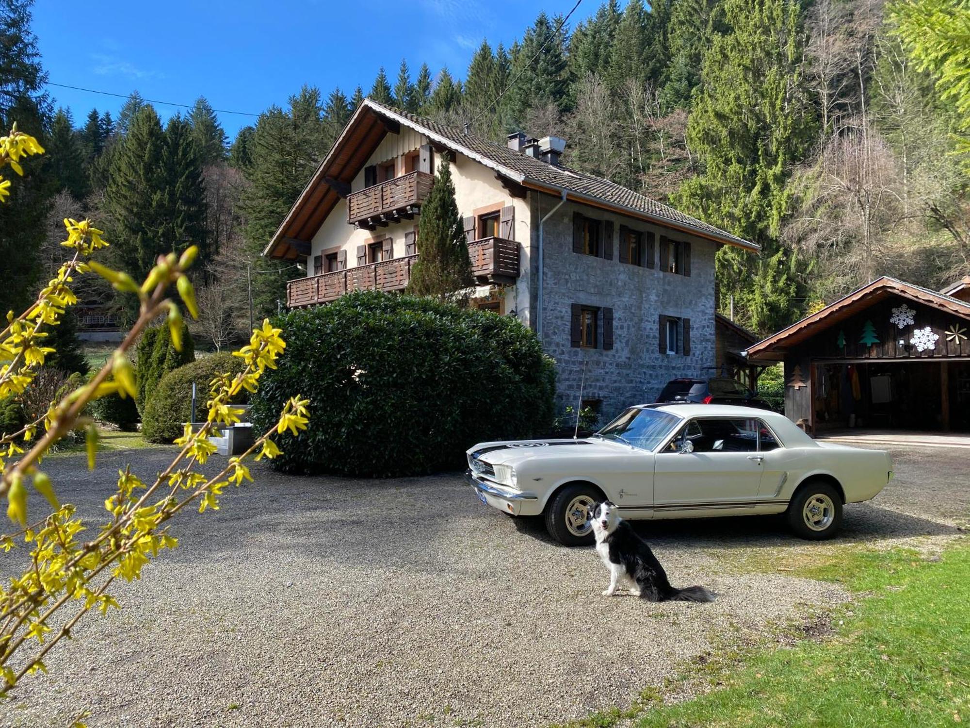 Chambres D'Hotes Des Cascades St-Nicolas Kruth Bagian luar foto