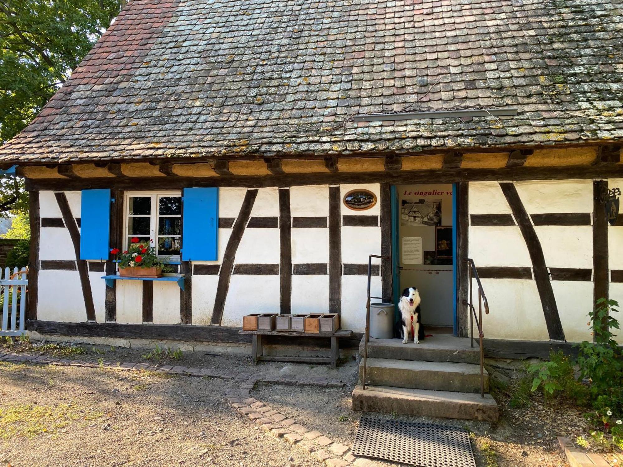 Chambres D'Hotes Des Cascades St-Nicolas Kruth Bagian luar foto