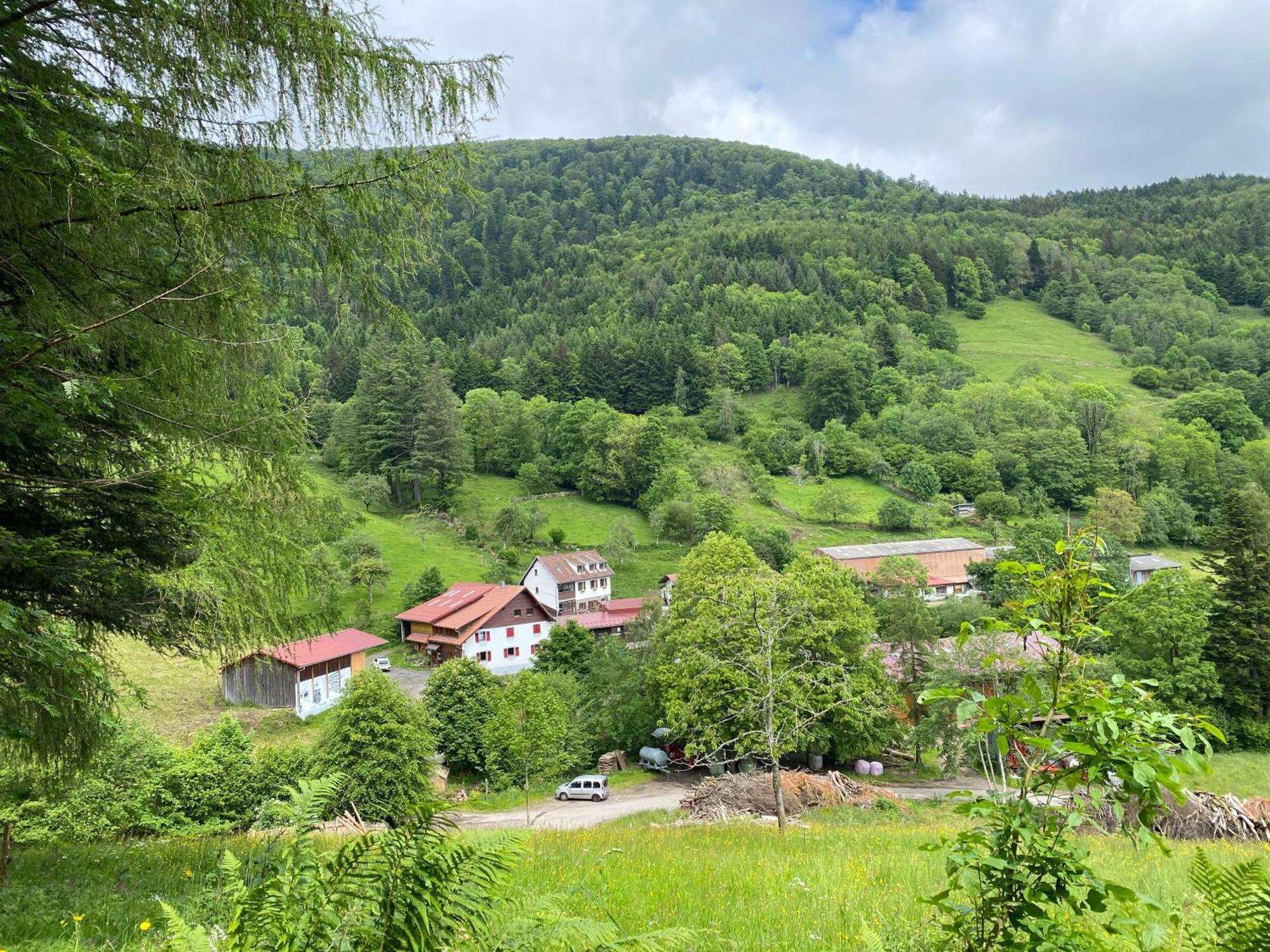 Chambres D'Hotes Des Cascades St-Nicolas Kruth Bagian luar foto